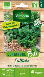 Coriandre Cultivée - BIO  - Grand Modèle
